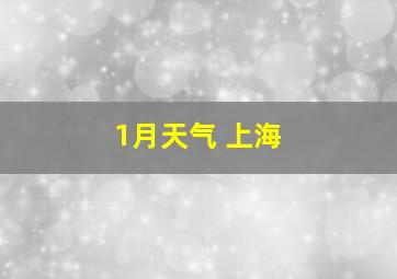 1月天气 上海